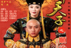 少年天子电视剧,宫廷风云中的青春传奇